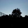 cracked_glass